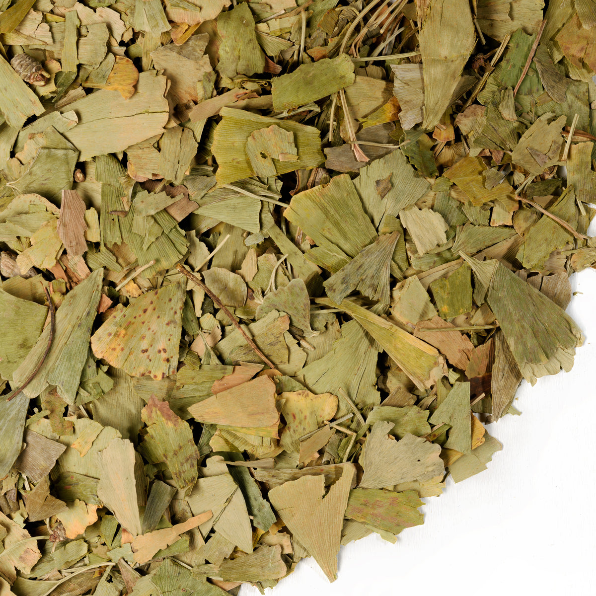 Ginkgo Biloba e foglie di olivello spinoso 
