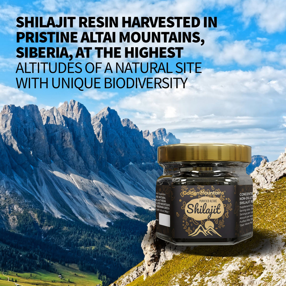 Resina di Shilajit delle Montagne d'Oro - Puro potere siberiano dell'Altai