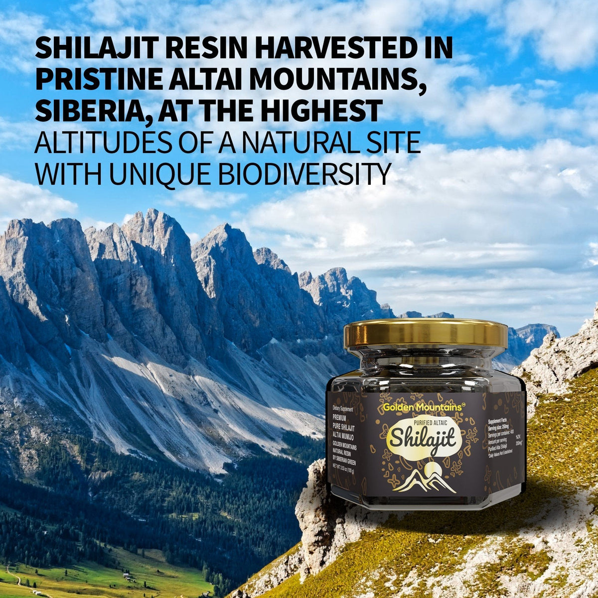 Acquistare la resina di Shilajit